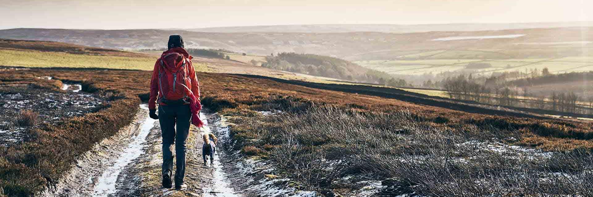 Snowy winter walk with dog