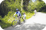 Delamere Forest Club Site