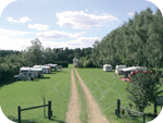 Thetford Club Site