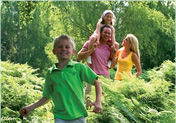 Forest Holidays