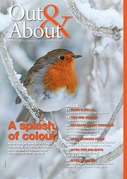 Out and About Online January 2012