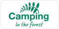 Camping in the Forest
