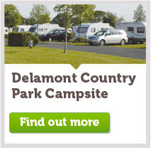 Delamont Country Park