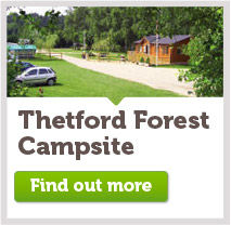 Thetford Forest