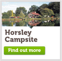 Horsley