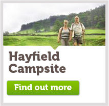 Hayfield