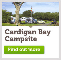 Cardigan Bay
