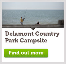 Delamont
