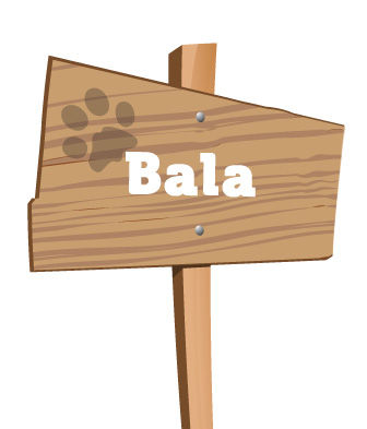 Bala signpost
