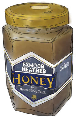 Honey illustration