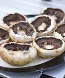mushrooms for sunshine hash