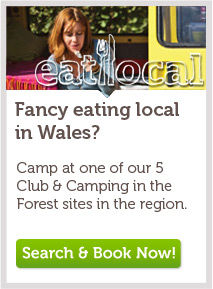 Wales CTA