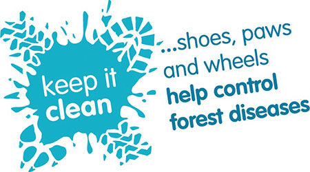 Keep it Clean campaign graphics