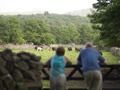 Eskdale Club Site