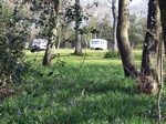 Corfe Castle Club Site