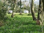Corfe Castle Club Site