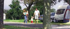 Devon Campsites