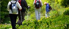 Peak District Campsites