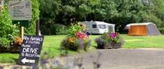 Norfolk Campsites