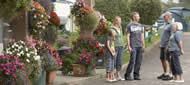 Photos of Moreton Self Catering