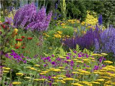 The National Gardens Scheme Discount