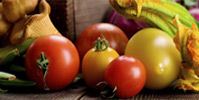 Camping Recipes