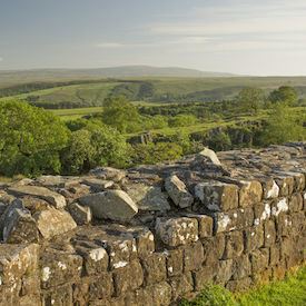 Make a virtual visit to Northumberland with Google