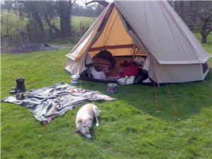 Shakey's first camping trip