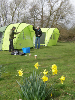 Daffodils mark the arrival of spring and tent testing