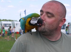 Rossi the Camping Parrot at Trentfest 2015