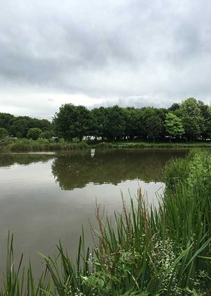 The lake at Hereford Club Site