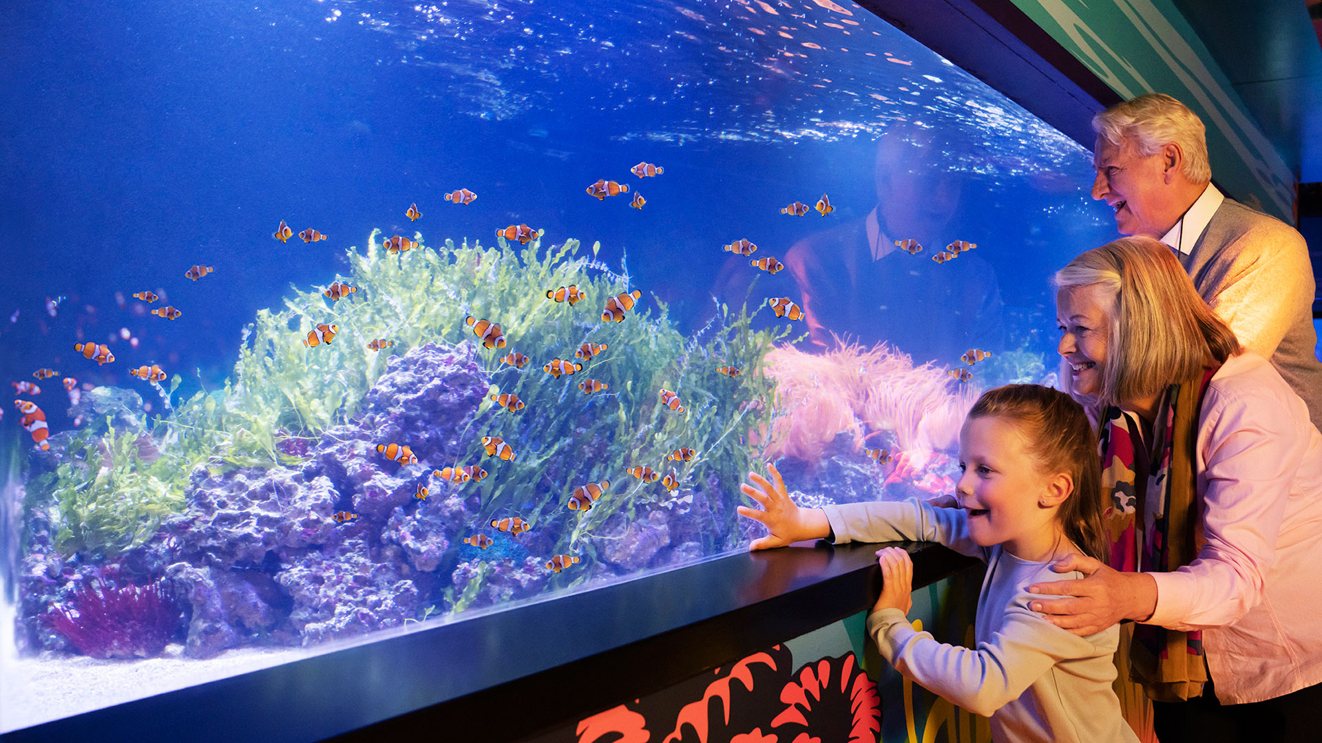 A aquarium outlet