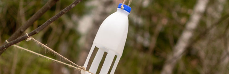 Milk bottle bird feeder hanging in trees