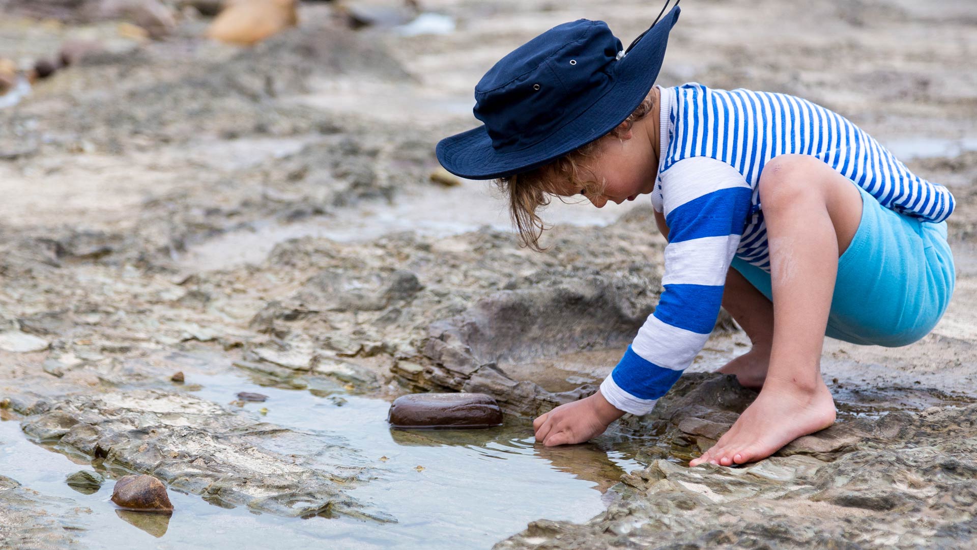 rockpooling