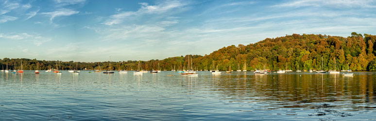 Boat tour on the River Dart