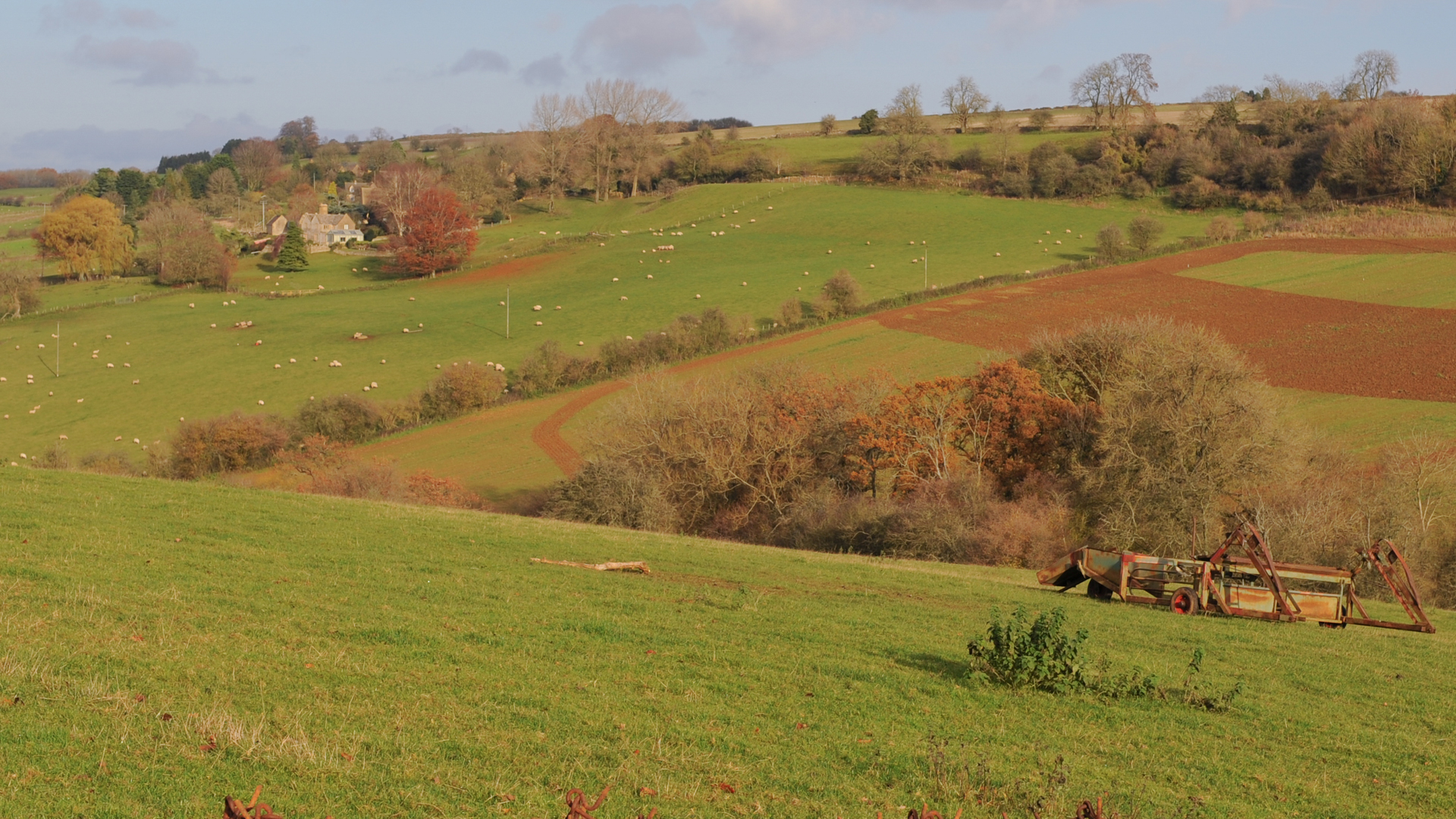 countryside