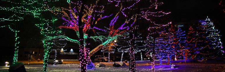 Spruce Grove Christmas Market 2022 18 Best Christmas Markets 2021 Uk - The Camping And Caravanning Club