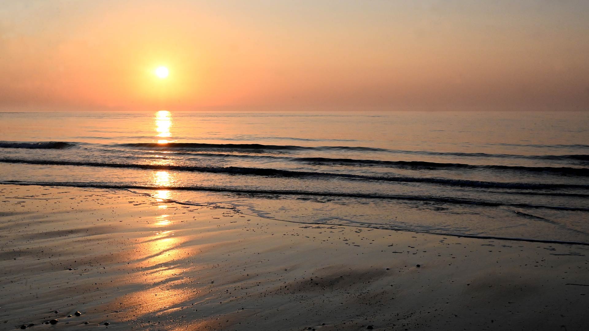 Water and sunset