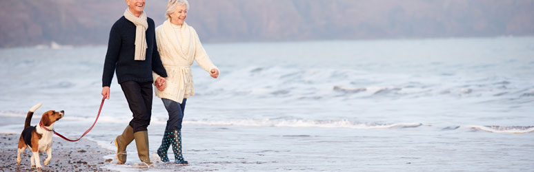 Couple walking beagle along beach