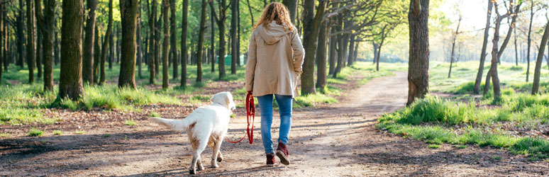 Woman walking dog through woodland