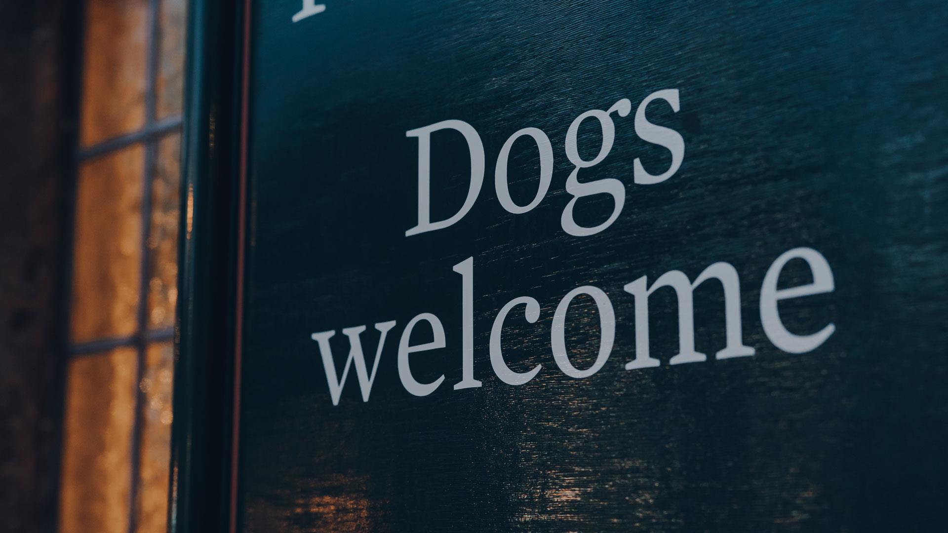 Dogs Welcome