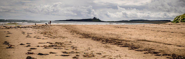 Low Newton Beach Northumberland