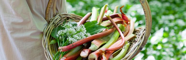 Foraging basket