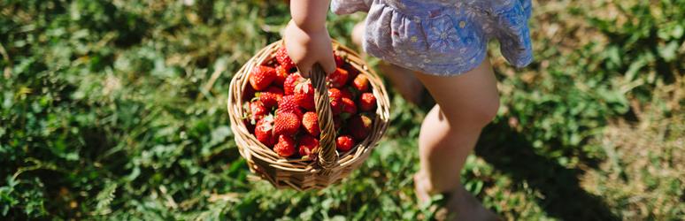 Strawberries