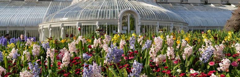 Botanic Garden, Belfast