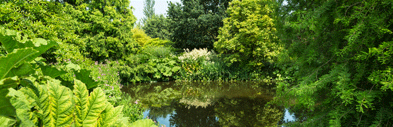 RHS Hyde Hall, Essex