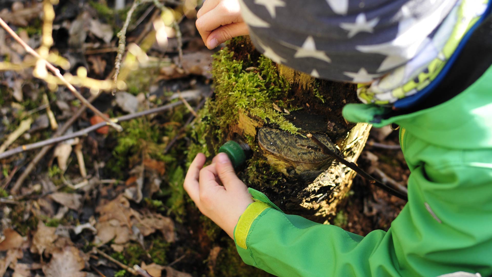 Finding a geocache