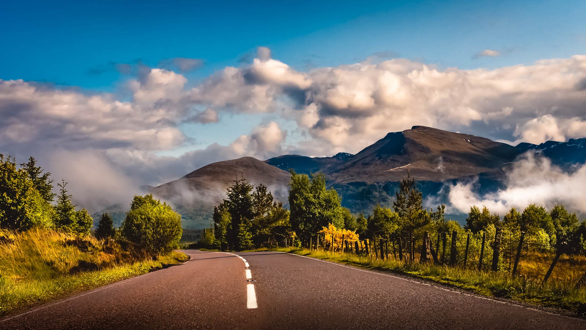 road review