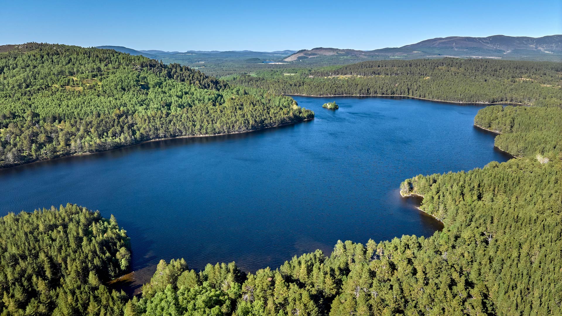 Lake and trees