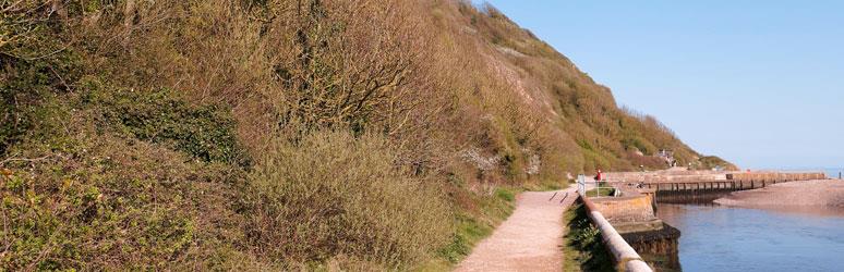 Axmouth to Lyme Regis Undercliffs Nature Reserve, Dorset